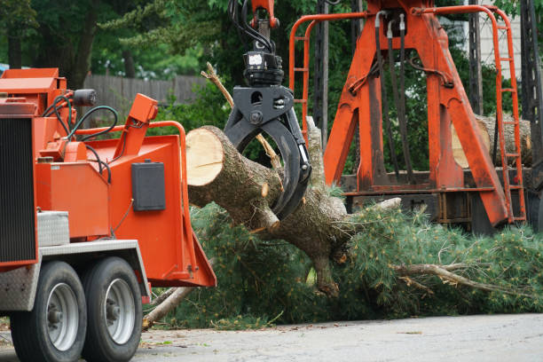 Best Grass Overseeding  in Sharon, PA